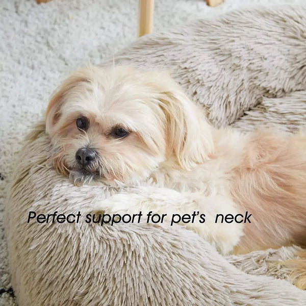 Super Soft Plush Cat & Dog Bed – Warm Nest, Cushion Basket, Ideal for Pets