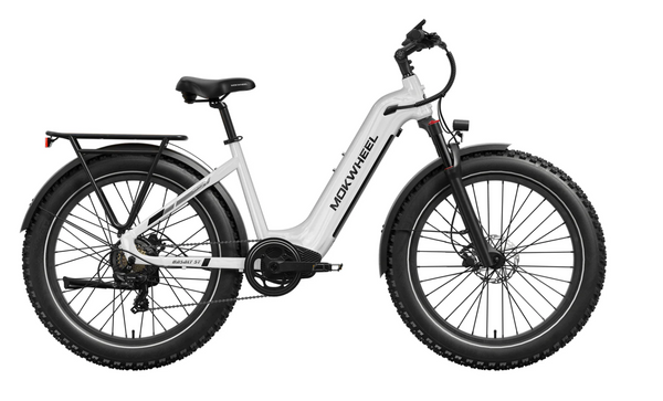 Mokwheel Basalt Electric Fat Tire Bike