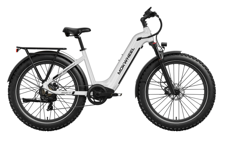 Mokwheel Basalt Electric Fat Tire Bike