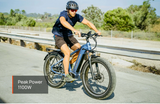 Mokwheel Basalt Electric Fat Tire Bike